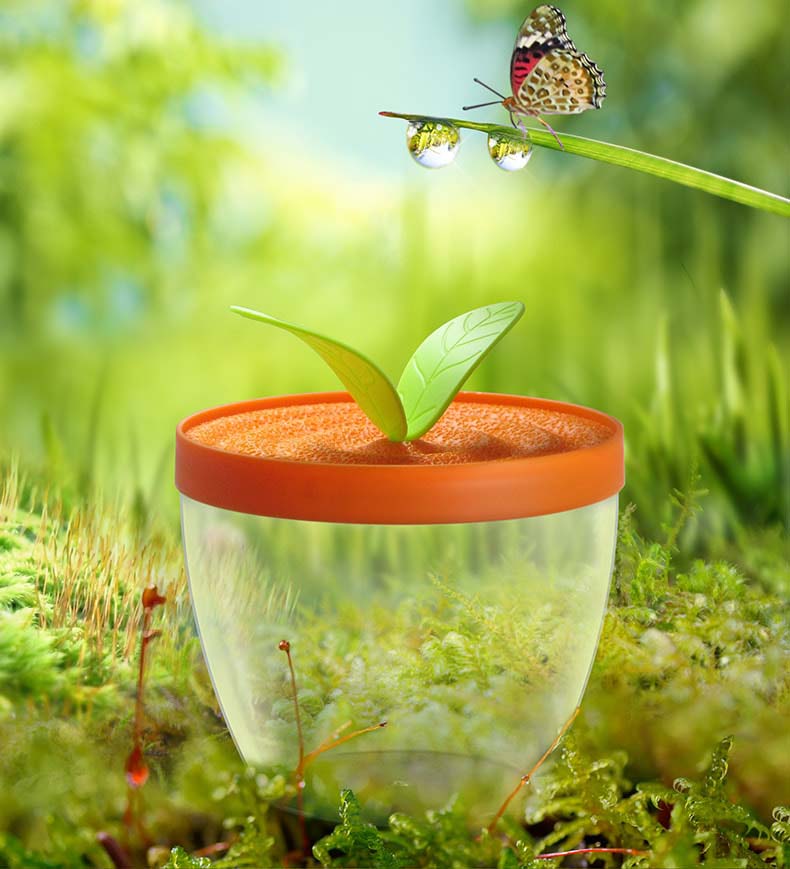 Clear Mini plant pot styled plastic box