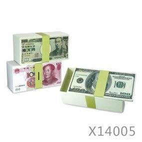 Hard Plastic Money Box